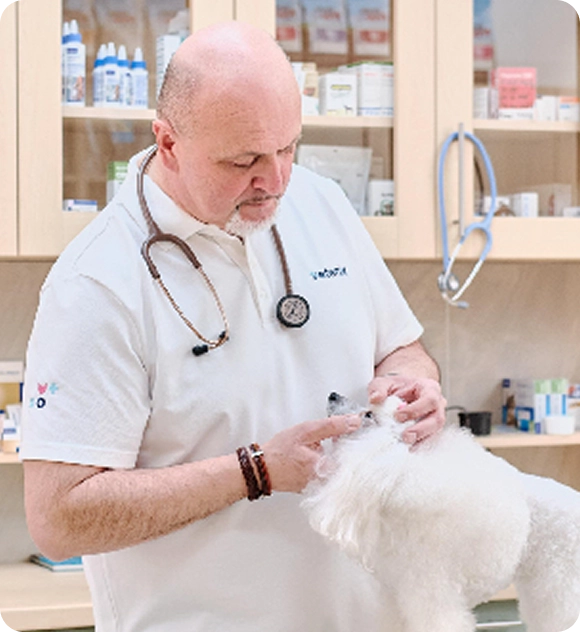 Zdeněk H. z Veterix, a.s.